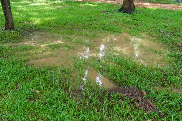 Storm Water Drainage Service in Hamilton