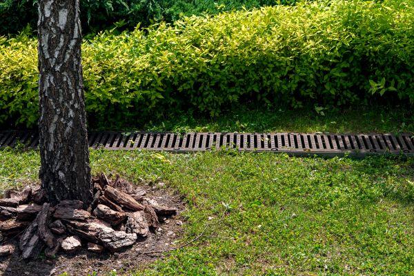 Garden Drainage Installation in Hamilton