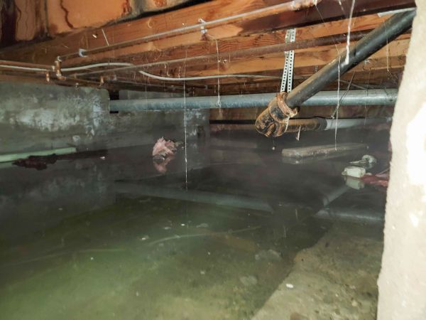 Cost of Crawlspace Drainage in Hamilton